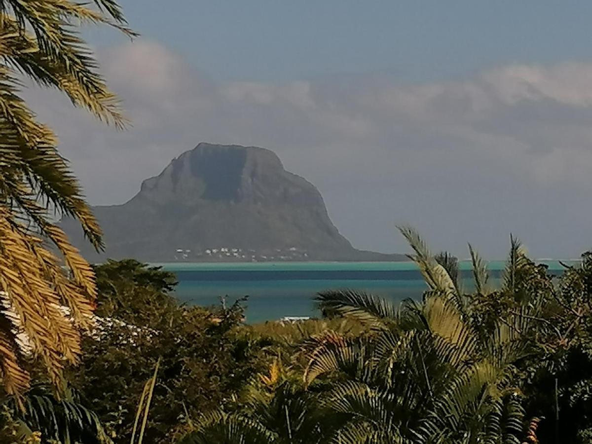 Terre Et Mer - Studios - Ile Maurice Rivière Noire Exteriér fotografie