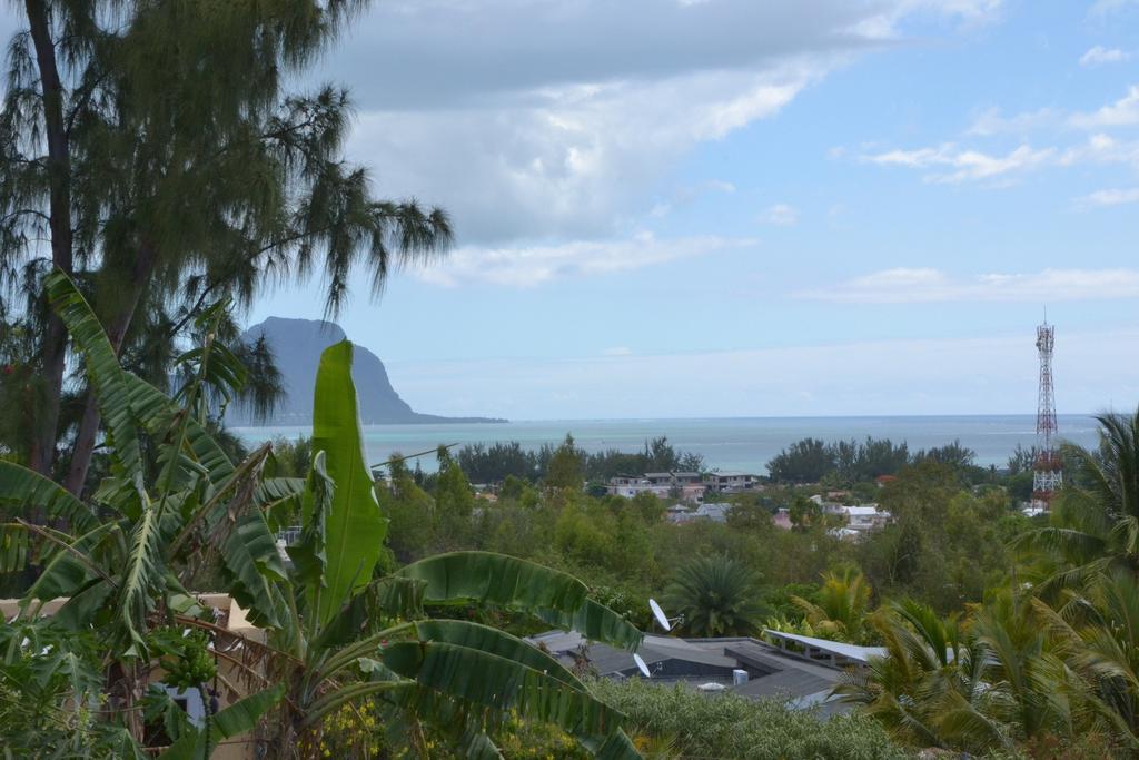 Terre Et Mer - Studios - Ile Maurice Rivière Noire Exteriér fotografie